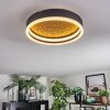 Guine Taklampa LED Guld, Svart, 1-ljuskällor