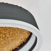 Guine Taklampa LED Guld, Svart, 1-ljuskällor