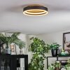 Guine Taklampa LED Guld, Svart, 1-ljuskällor