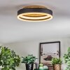 Guine Taklampa LED Guld, Svart, 1-ljuskällor