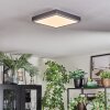 Salmi Taklampa, Panel LED Grått, Silver, 1-ljuskällor