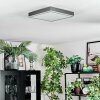 Salmi Taklampa, Panel LED Grått, Silver, 1-ljuskällor