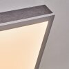Salmi Taklampa, Panel LED Grått, Silver, 1-ljuskällor