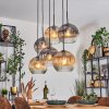 Ripoll Pendellampa, kullampa, Pendelbelysning Amber, Klart, Rökfärger, 6-ljuskällor
