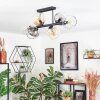 Koyoto Taklampa, kullampa Amber, Klart, Rökfärger, 6-ljuskällor