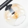 Koyoto Taklampa, kullampa Amber, Klart, Rökfärger, 6-ljuskällor