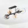 Koyoto Taklampa, kullampa Amber, Klart, Rökfärger, 6-ljuskällor