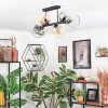Koyoto Taklampa, kullampa Amber, Klart, Rökfärger, 6-ljuskällor