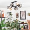Koyoto Taklampa, kullampa Amber, Rökfärger, 6-ljuskällor