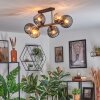 Koyoto Taklampa, kullampa Amber, Rökfärger, 6-ljuskällor