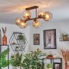 Koyoto Taklampa, kullampa Amber, Klart, 6-ljuskällor
