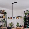 Koyoto Pendellampa, kullampa, Pendelbelysning Blå, Guld, Grön, Klart, Kopparfärg, 5-ljuskällor