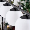 Gastor Pendellampa, kullampa, Pendelbelysning Vit, 5-ljuskällor