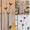 Gastor kullampa, Golvlampa Blå, Grön, Klart, Kopparfärg, 3-ljuskällor