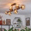 Koyoto Taklampa, kullampa Amber, Klart, Rökfärger, 10-ljuskällor