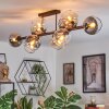 Koyoto Taklampa, kullampa Amber, Klart, Rökfärger, 10-ljuskällor