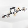 Koyoto Taklampa, kullampa Amber, Klart, Rökfärger, 10-ljuskällor