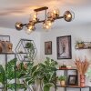 Koyoto Taklampa, kullampa Amber, Klart, Rökfärger, 10-ljuskällor