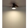 Globo Kari Takfläkt med belysning LED Brun, Svart, 1-ljuskällor, Fjärrkontroll