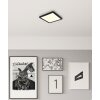 Globo Fitzpatrick Taklampa LED Svart, 1-ljuskällor