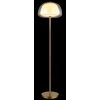 Globo Avila Golvlampa LED Guld, 1-ljuskällor, Fjärrkontroll
