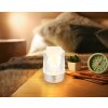 Globo Lizzy Bordslampa LED Silver, 1-ljuskällor