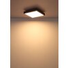 Globo Doro Taklampa LED Grått, Silver, 1-ljuskällor