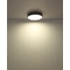 Globo Doro Taklampa LED Grått, Silver, 1-ljuskällor, Fjärrkontroll