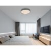Globo Doro Taklampa LED Grått, Silver, 1-ljuskällor, Fjärrkontroll