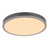 Globo Doro Taklampa LED Grått, Silver, 1-ljuskällor