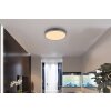 Globo Doro Taklampa LED Grått, Silver, 1-ljuskällor
