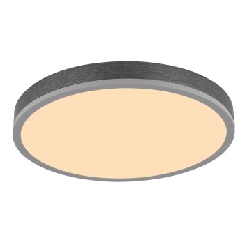 Globo Doro Taklampa LED Grått, Silver, 1-ljuskällor