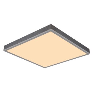 Globo Doro Taklampa LED Grått, Silver, 1-ljuskällor