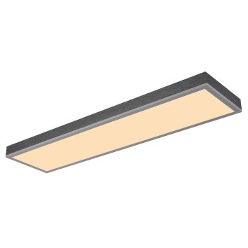 Globo Doro Taklampa LED Grått, Silver, 1-ljuskällor