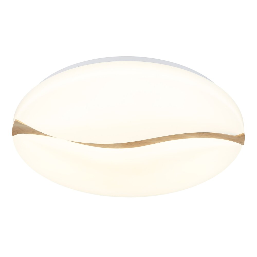 Globo Leticia Taklampa LED Vit, 1-ljuskällor main product photo