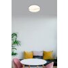Globo Leticia Taklampa LED Vit, 1-ljuskällor