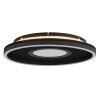 Globo Emory Taklampa LED Svart, 1-ljuskällor
