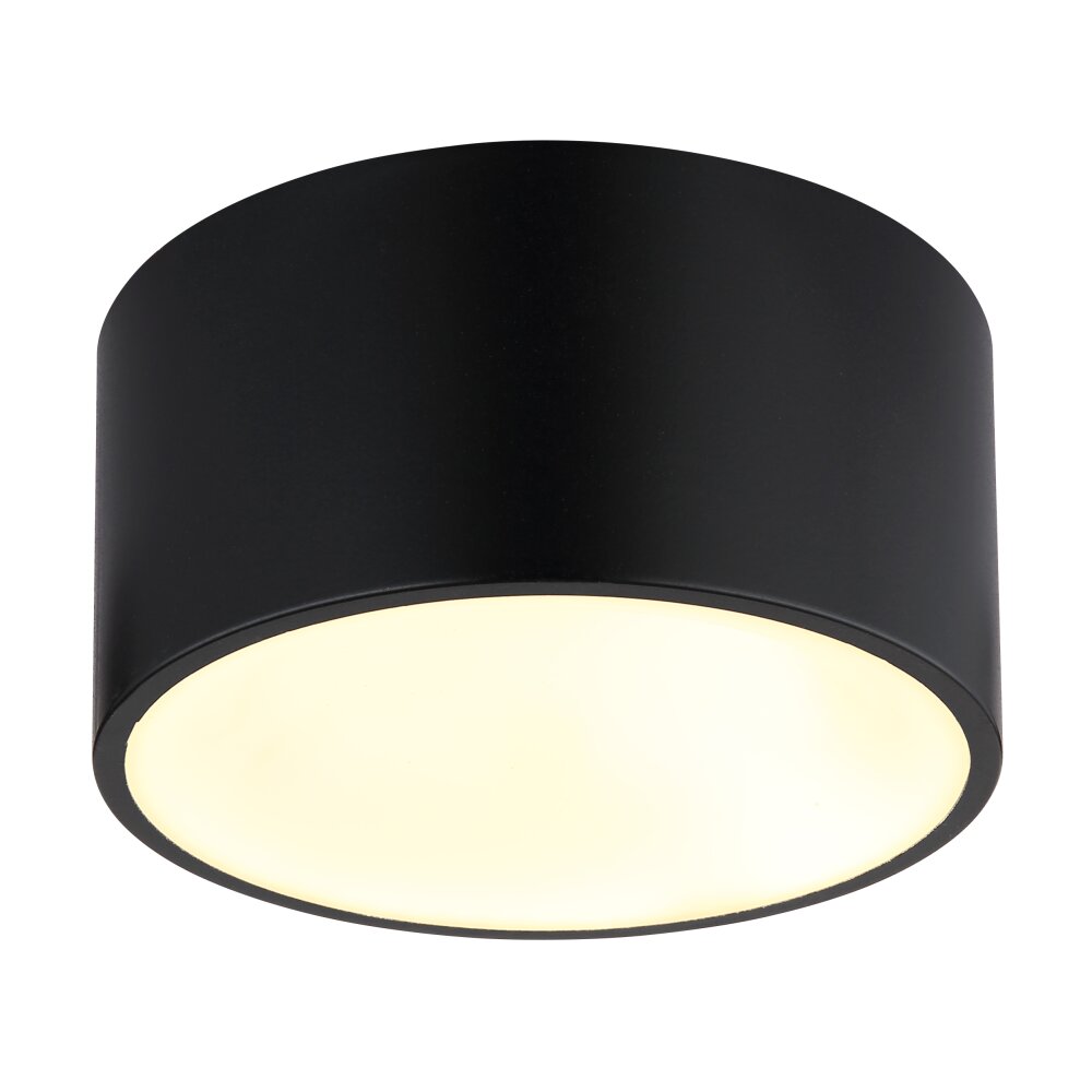 Globo Raymond Taklampa LED Vit, 1-ljuskällor main product photo