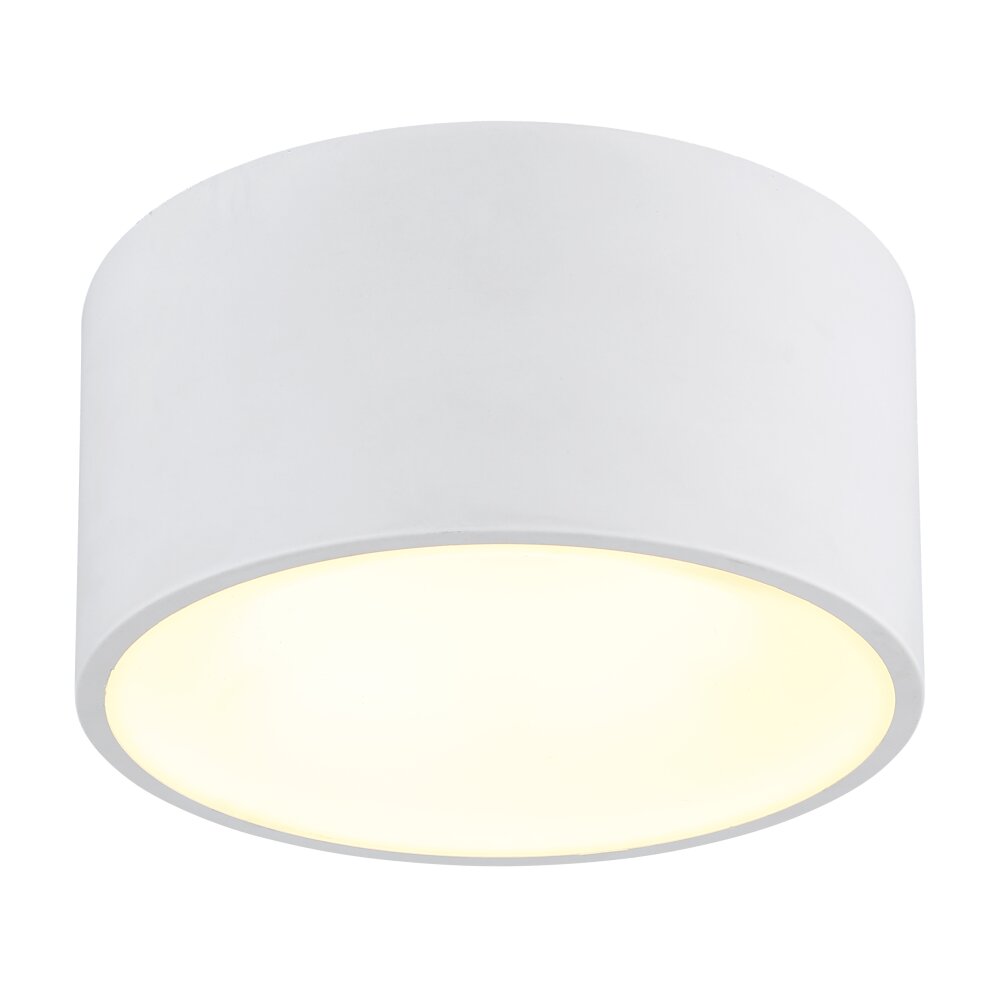 Globo Raymond Taklampa LED Vit, 1-ljuskällor main product photo