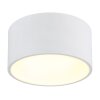 Globo Raymond Taklampa LED Vit, 1-ljuskällor