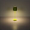 Globo Vannie Bordslampa LED Grön, 1-ljuskällor