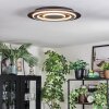 Lidor Taklampa LED Svart, 1-ljuskällor
