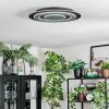 Lidor Taklampa LED Svart, 1-ljuskällor
