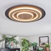 Lidor Taklampa LED Svart, 1-ljuskällor