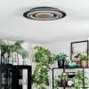 Lidor Taklampa LED Svart, 1-ljuskällor
