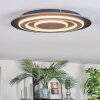 Lidor Taklampa LED Svart, 1-ljuskällor