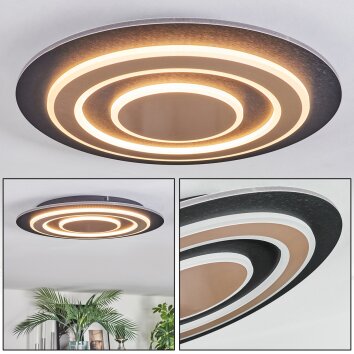Lidor Taklampa LED Svart, 1-ljuskällor