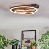 Pilor Taklampa LED Svart, 1-ljuskällor, Fjärrkontroll