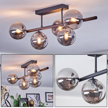 Chehalis Taklampa, kullampa Rökfärger, 5-ljuskällor