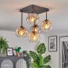 Ripoll Taklampa, kullampa Amber, Klart, Rökfärger, 5-ljuskällor